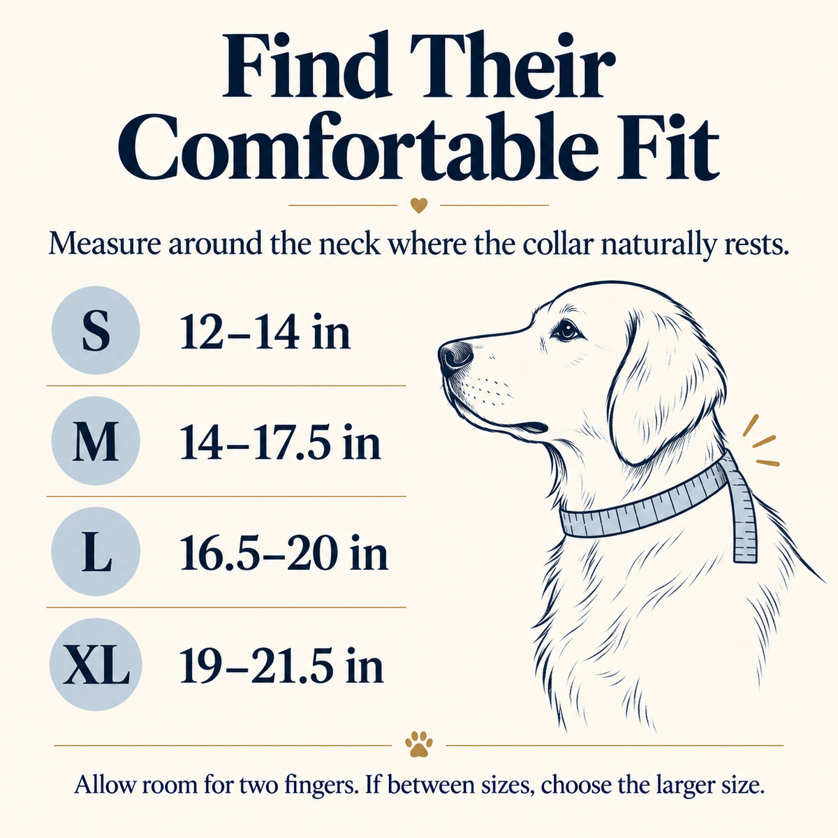 Reflective dog collar with finder tag holder - image 7