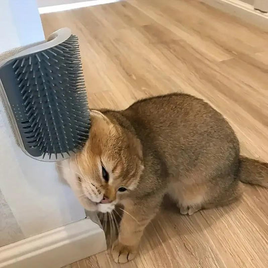 Wall-Mount Cat Self-Grooming Brush image 1