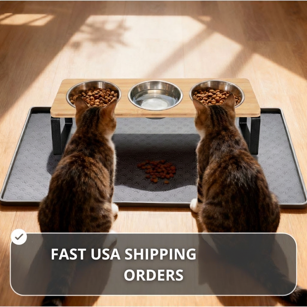 Elevated Stainless Steel Cat Feeder Stand