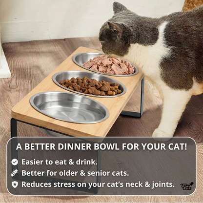 Elevated Stainless Steel Cat Feeder Stand