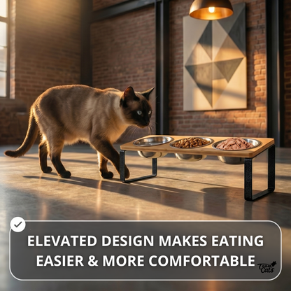 Elevated Stainless Steel Cat Feeder Stand