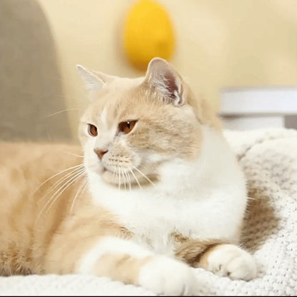 Pet grooming brush - view 1