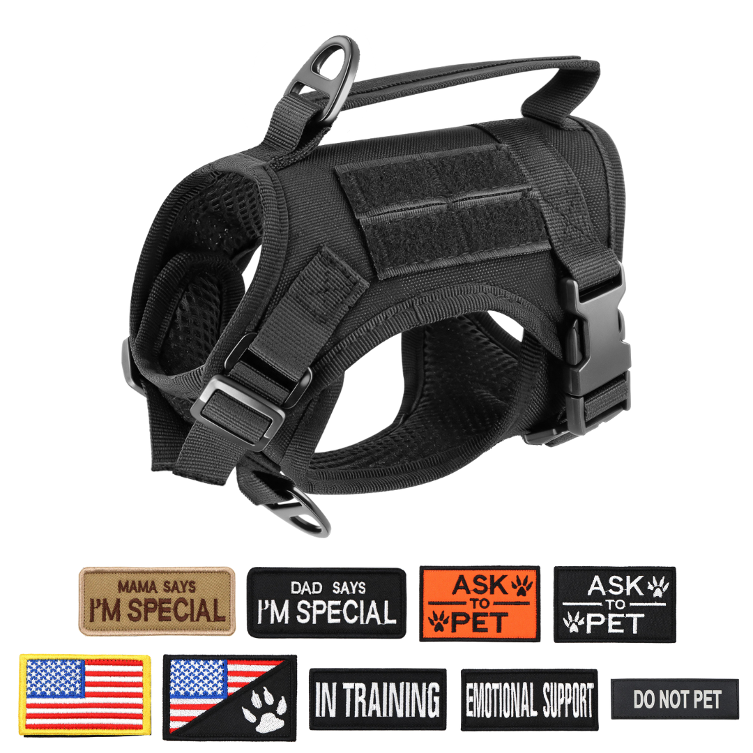 Adjustable Cat Harness image 18