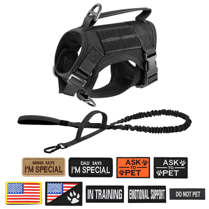 Adjustable Cat Harness image 19