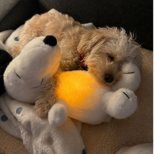 Calming Breathing Plush Toy - photo 1