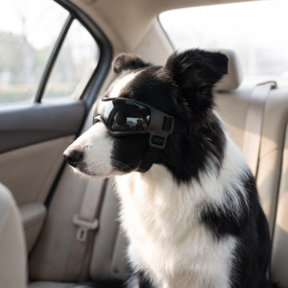 Dog goggles for car rides - image 1