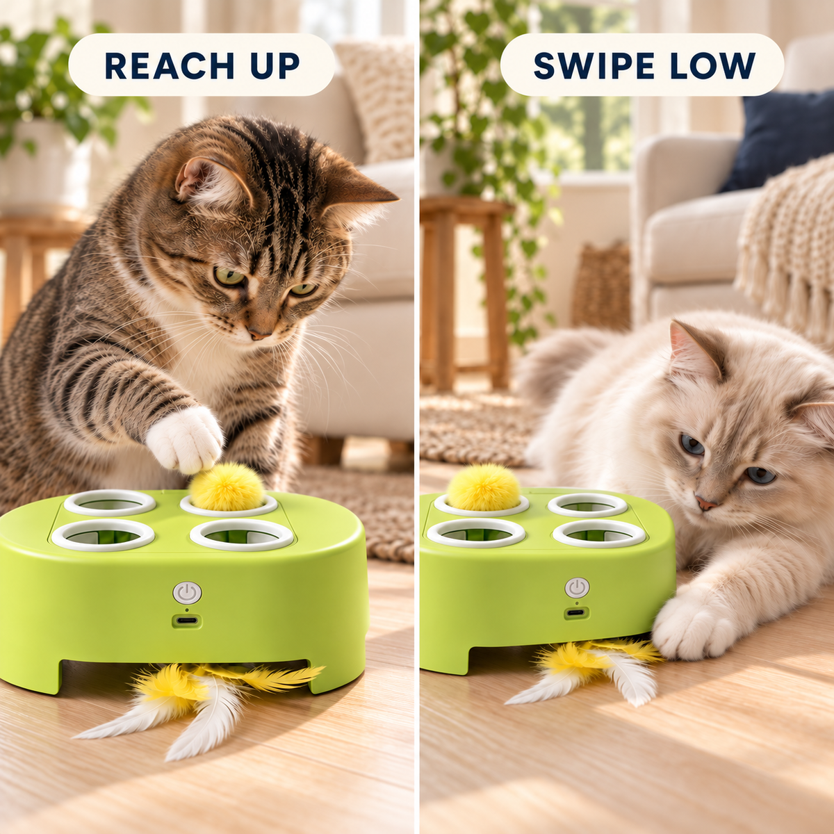 3-Mode Pop-Up and Feather Cat Toy