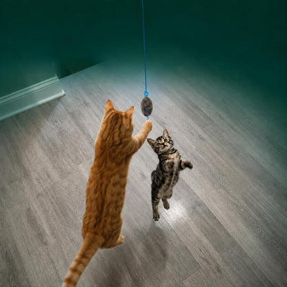 Door-hanging automatic feather cat toy, view 3