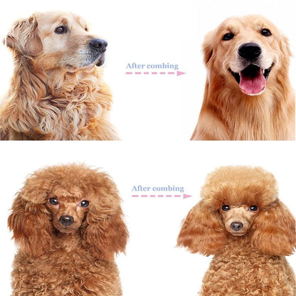 Double-Sided Deshedding and Dematting Brush for Pets - 3306760890-main-6.jpg