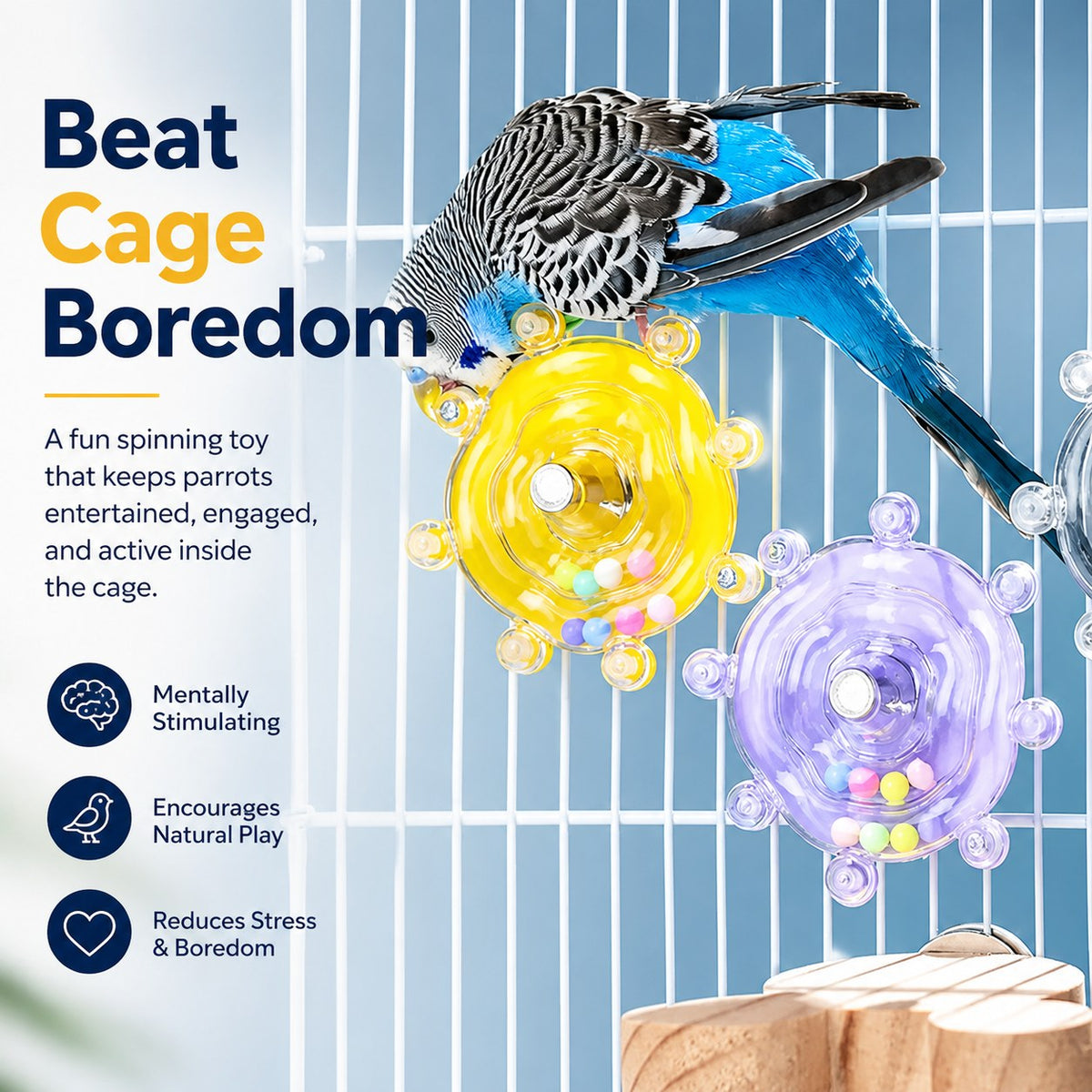 Rotating Spinner Bird Toy - main-1