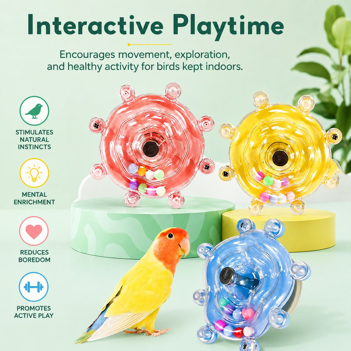 Rotating Spinner Bird Toy - main-5