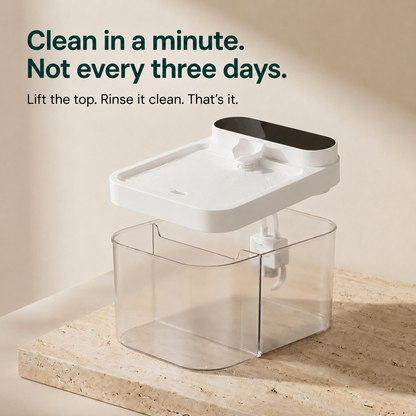 No-Filter Automatic Cat Fountain