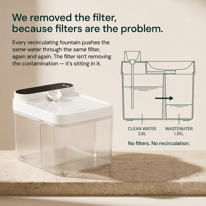 No-Filter Automatic Cat Fountain