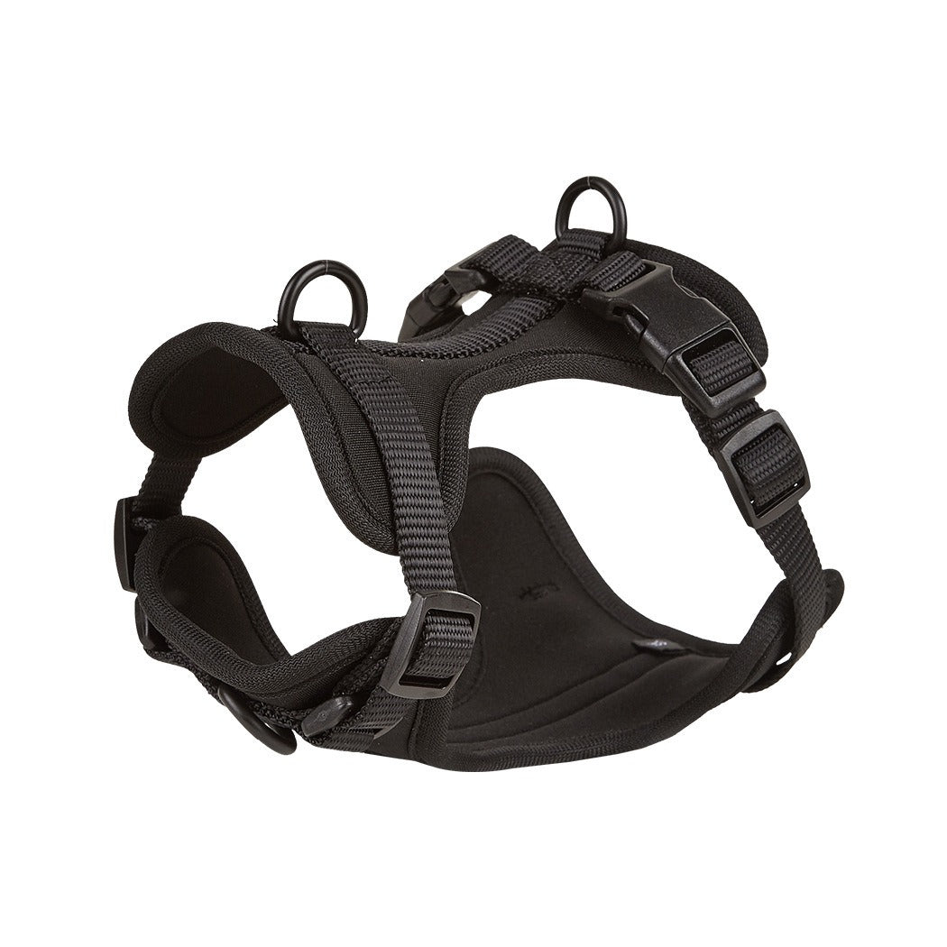 Spine-Safe No-Pull Dachshund Harness